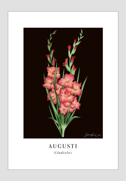 Augusti - Gladiolus, 21x30