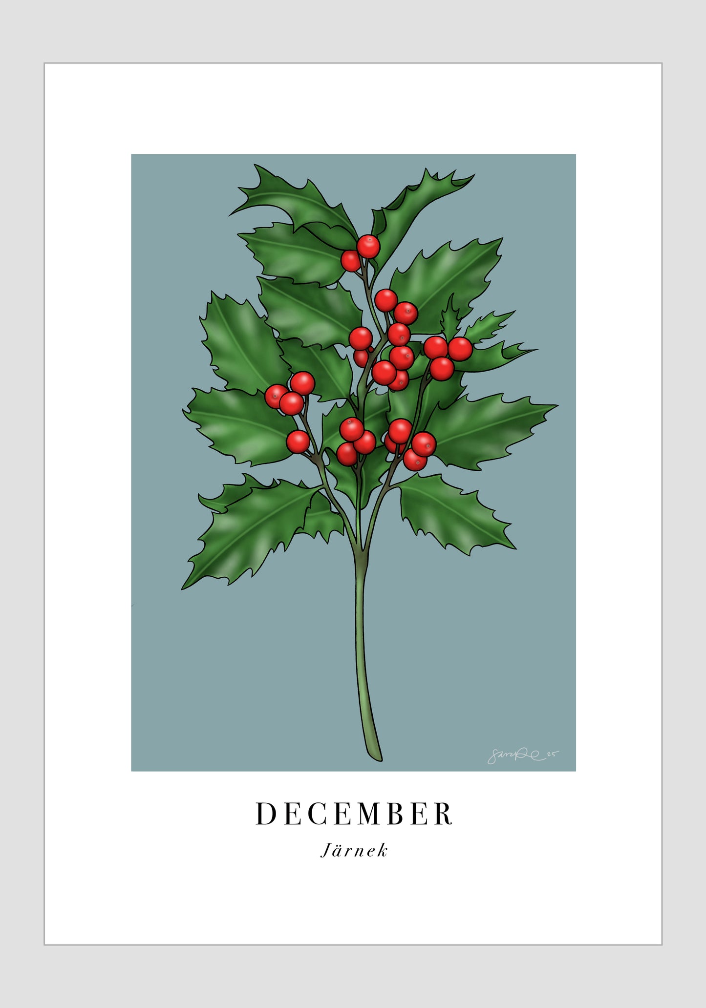 December - Järnek, 21x30