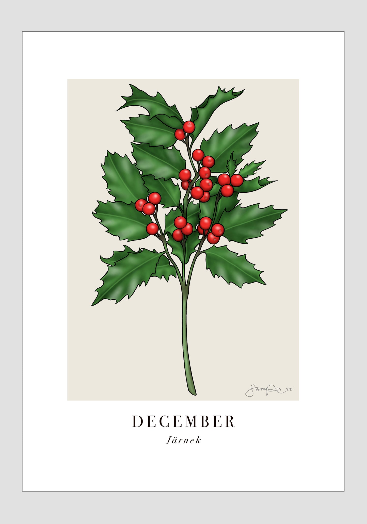 December - Järnek, 21x30