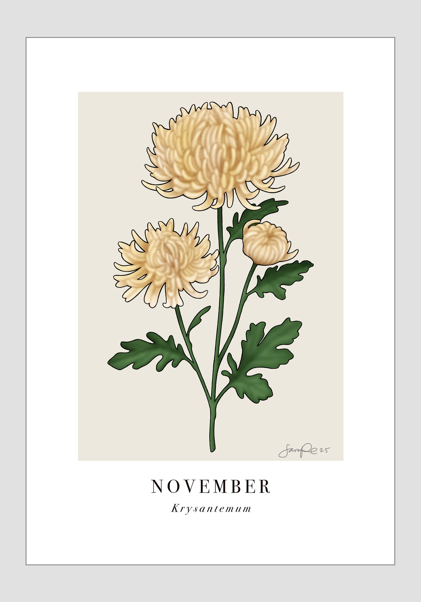November - Krysantemum, 21x30