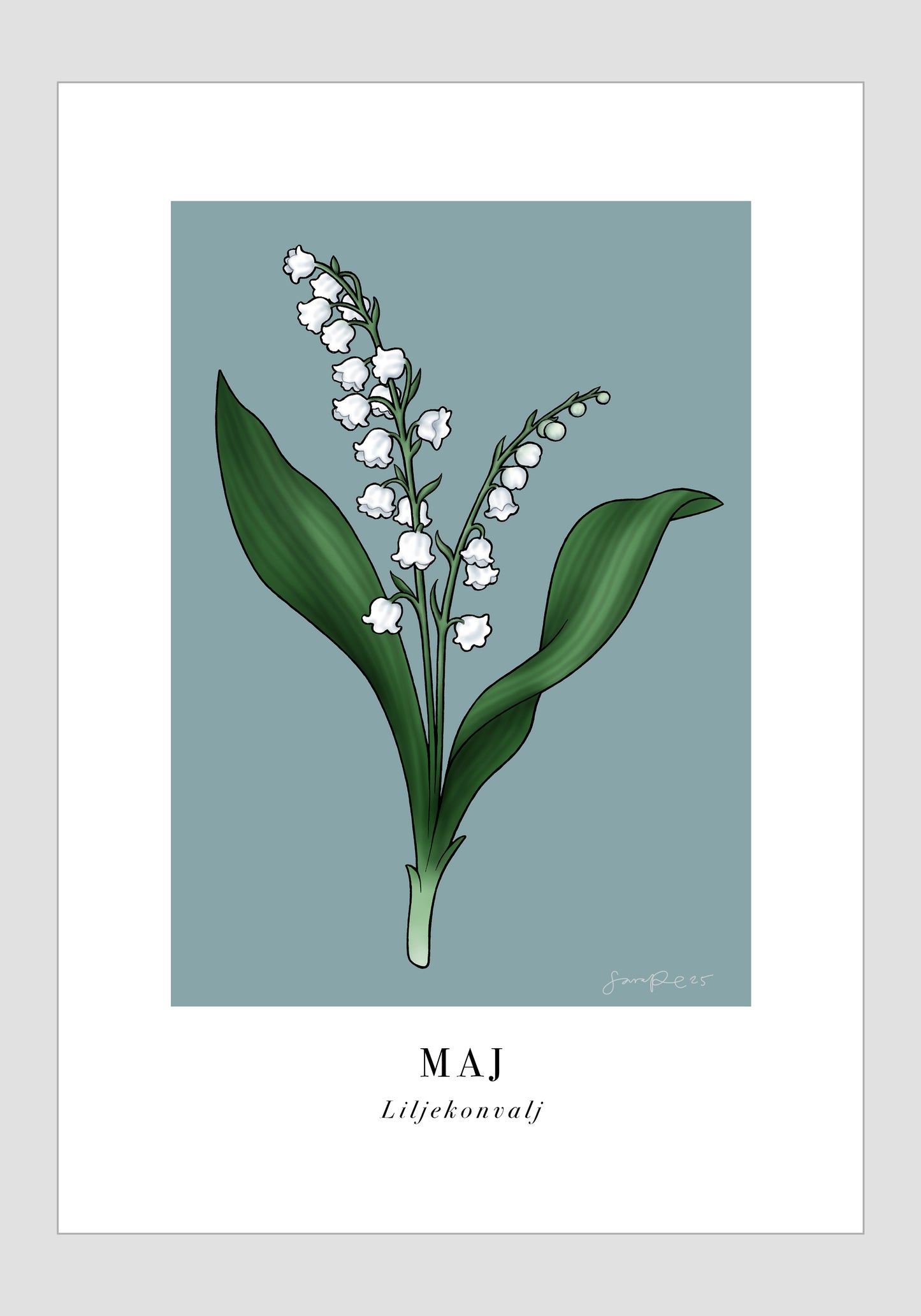 Maj - Liljekonvalj, 21x30
