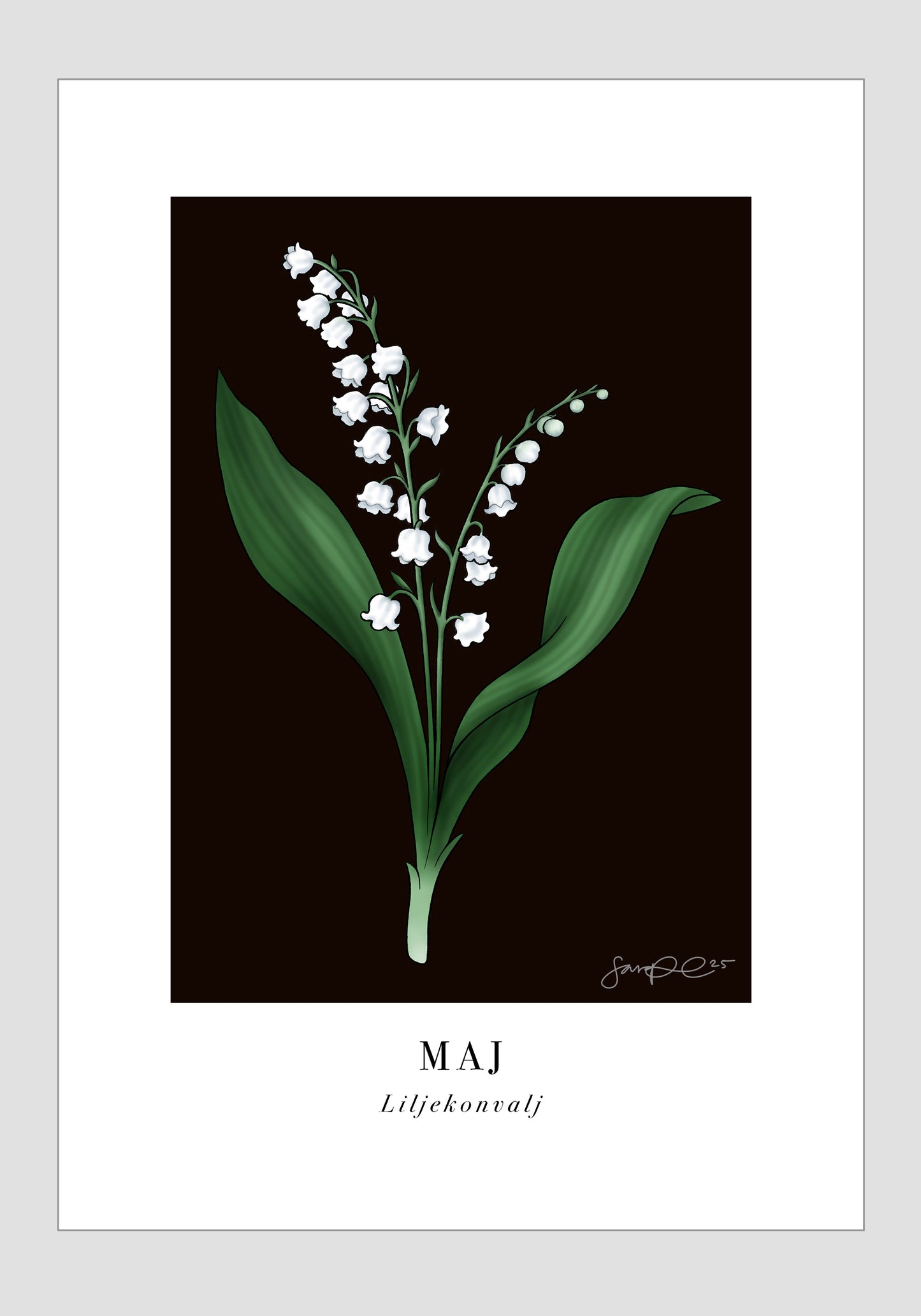 Maj - Liljekonvalj, 21x30