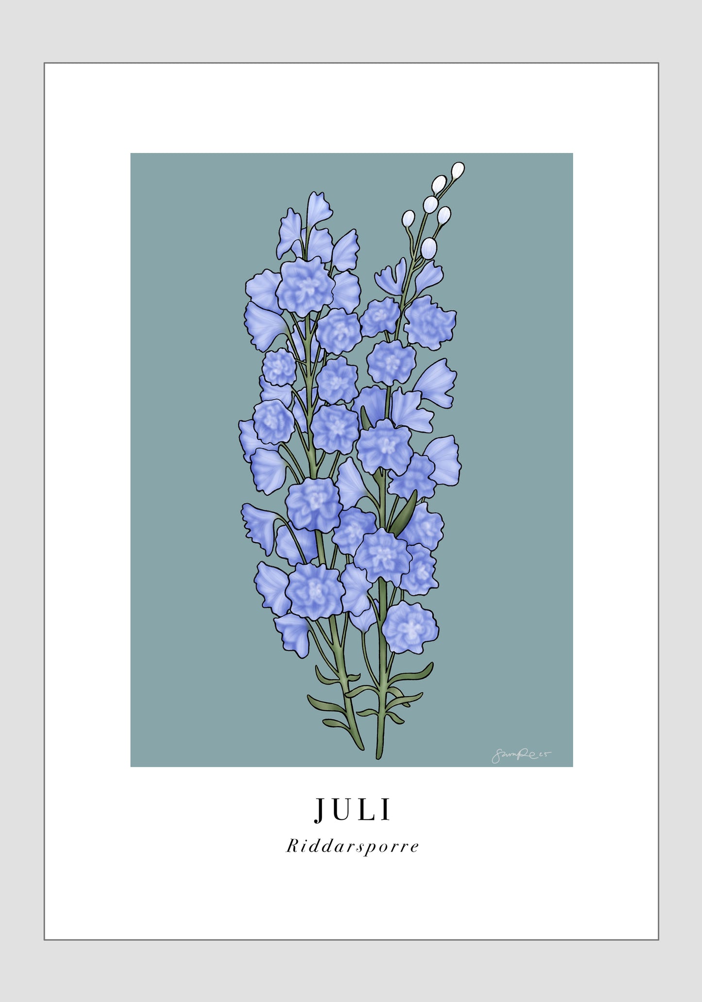 Juli - Riddarsporre, 21x30