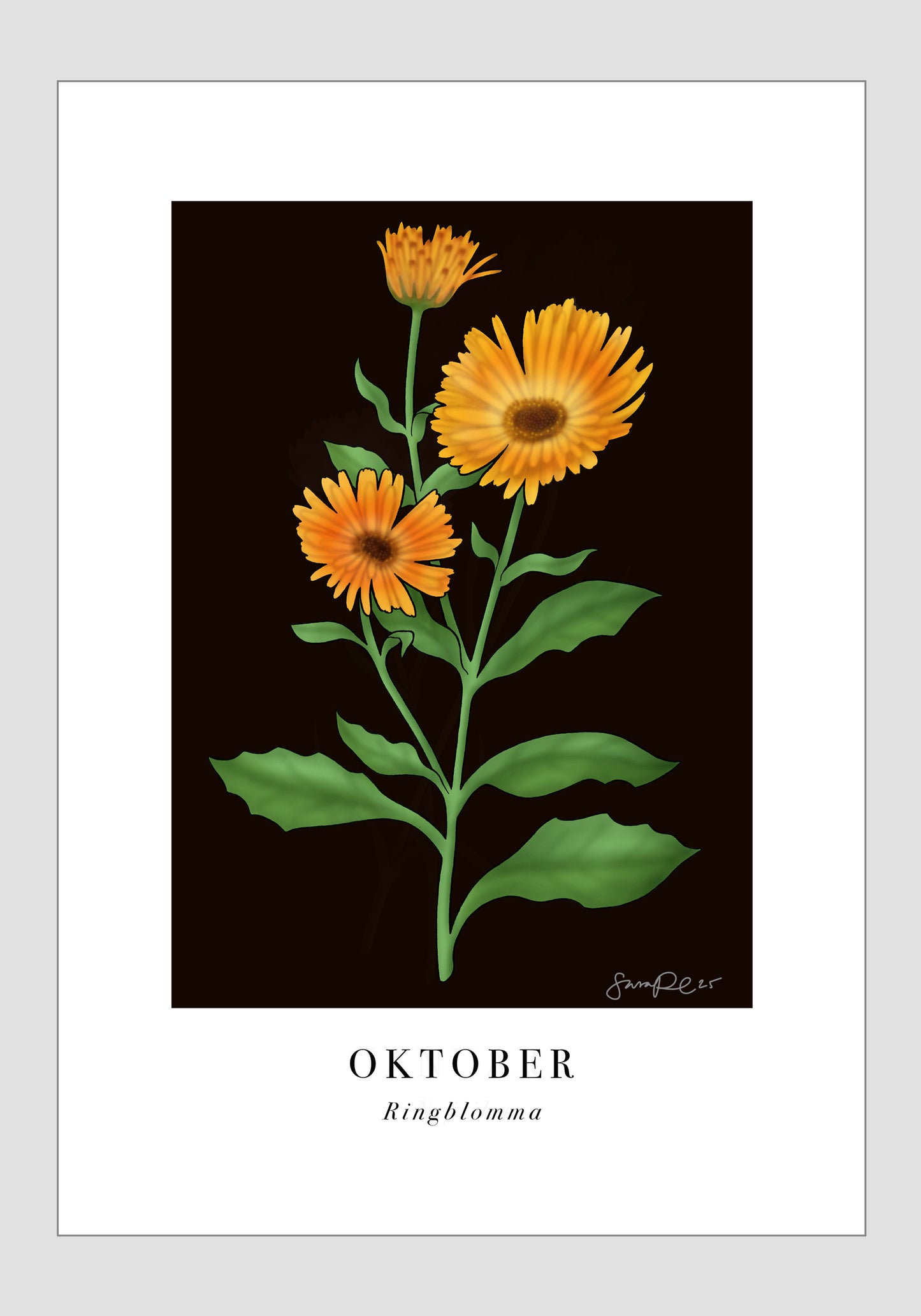 Oktober - Ringblomma, 21x30