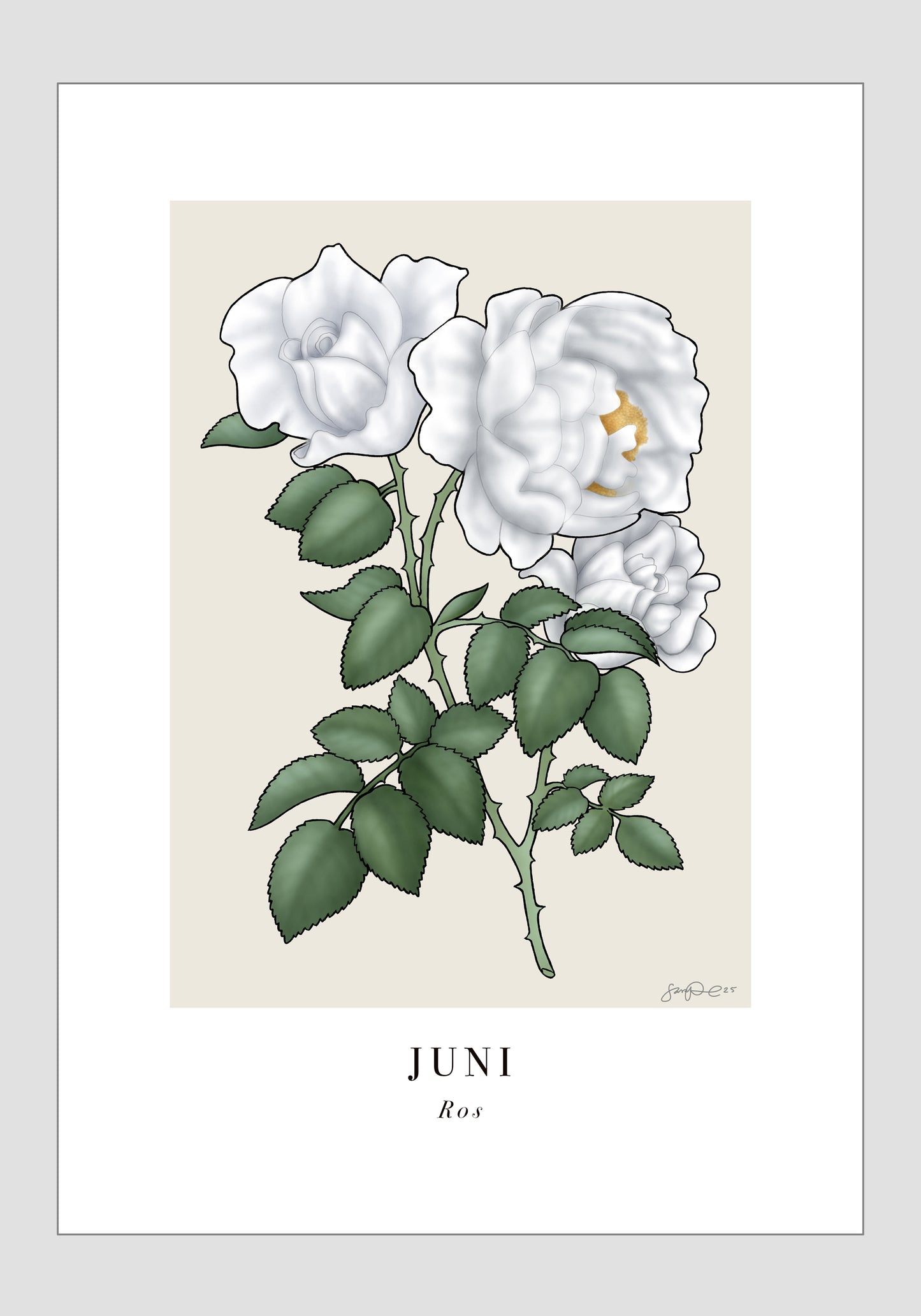 Juni - Ros, 21x30