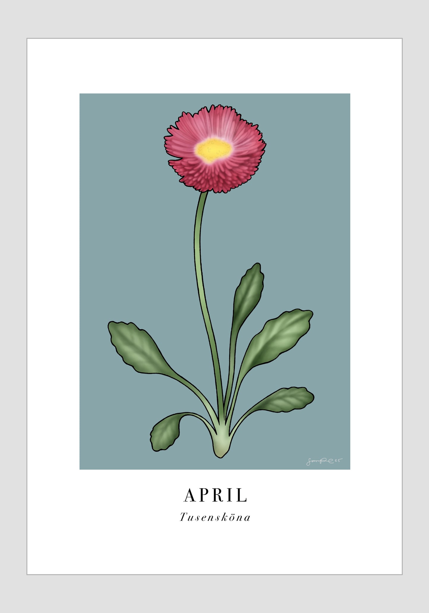 April - Tusensköna, 30x40