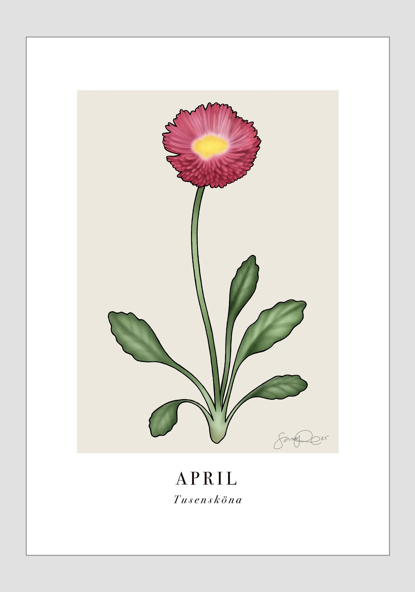 April - Tusensköna, 30x40