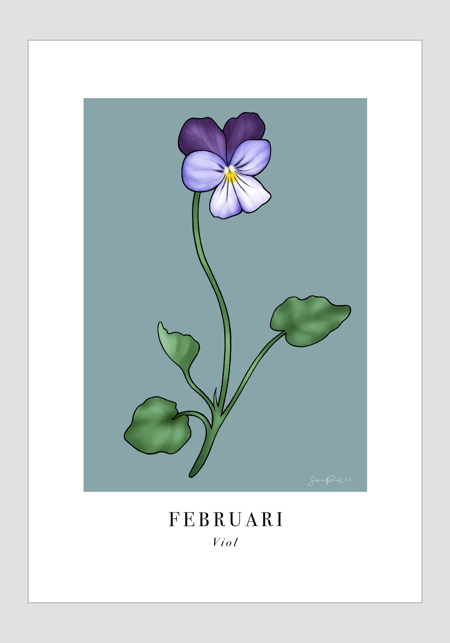 Februari - Viol, 30x40