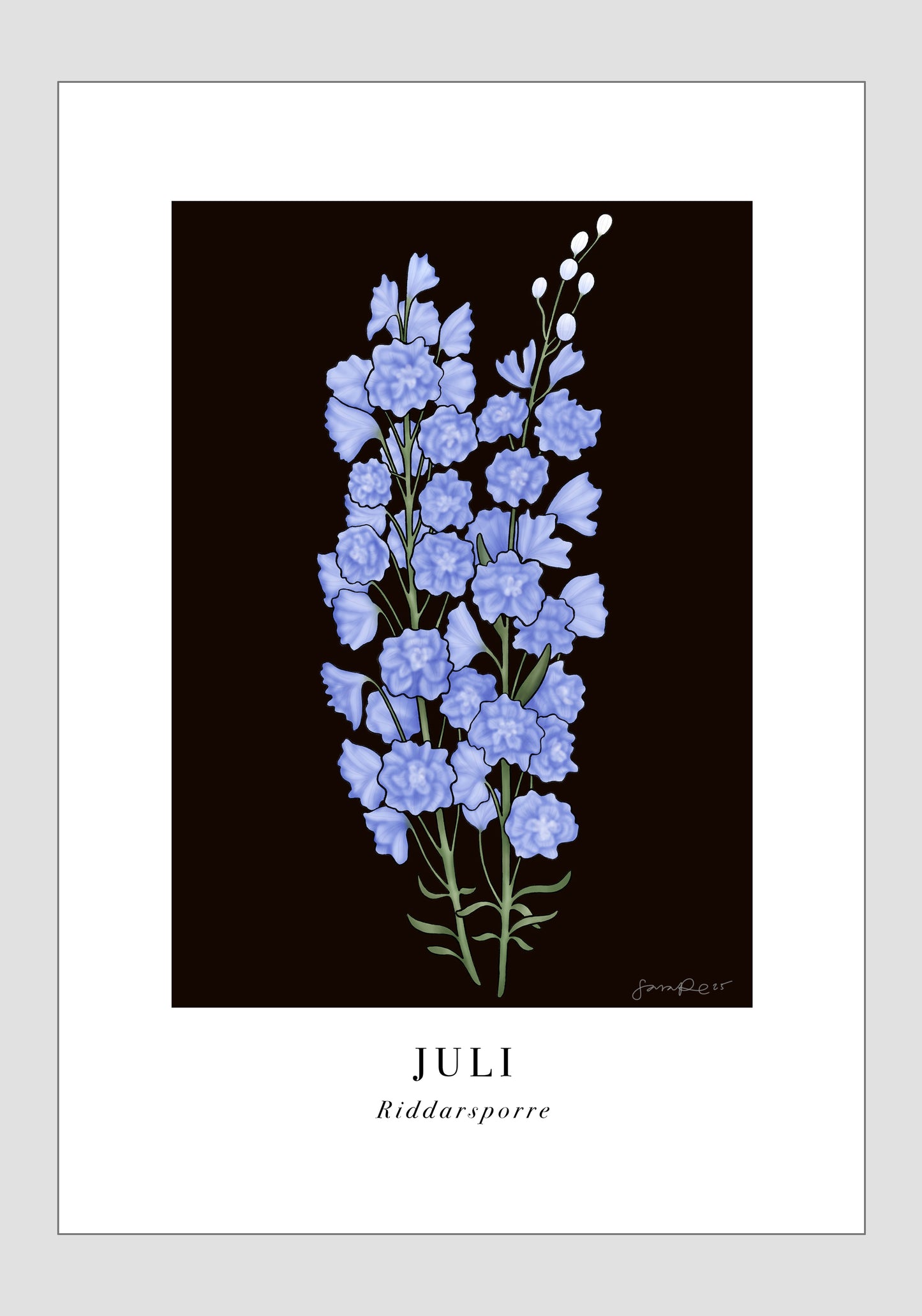 Juli - Riddarsporre, 30x40