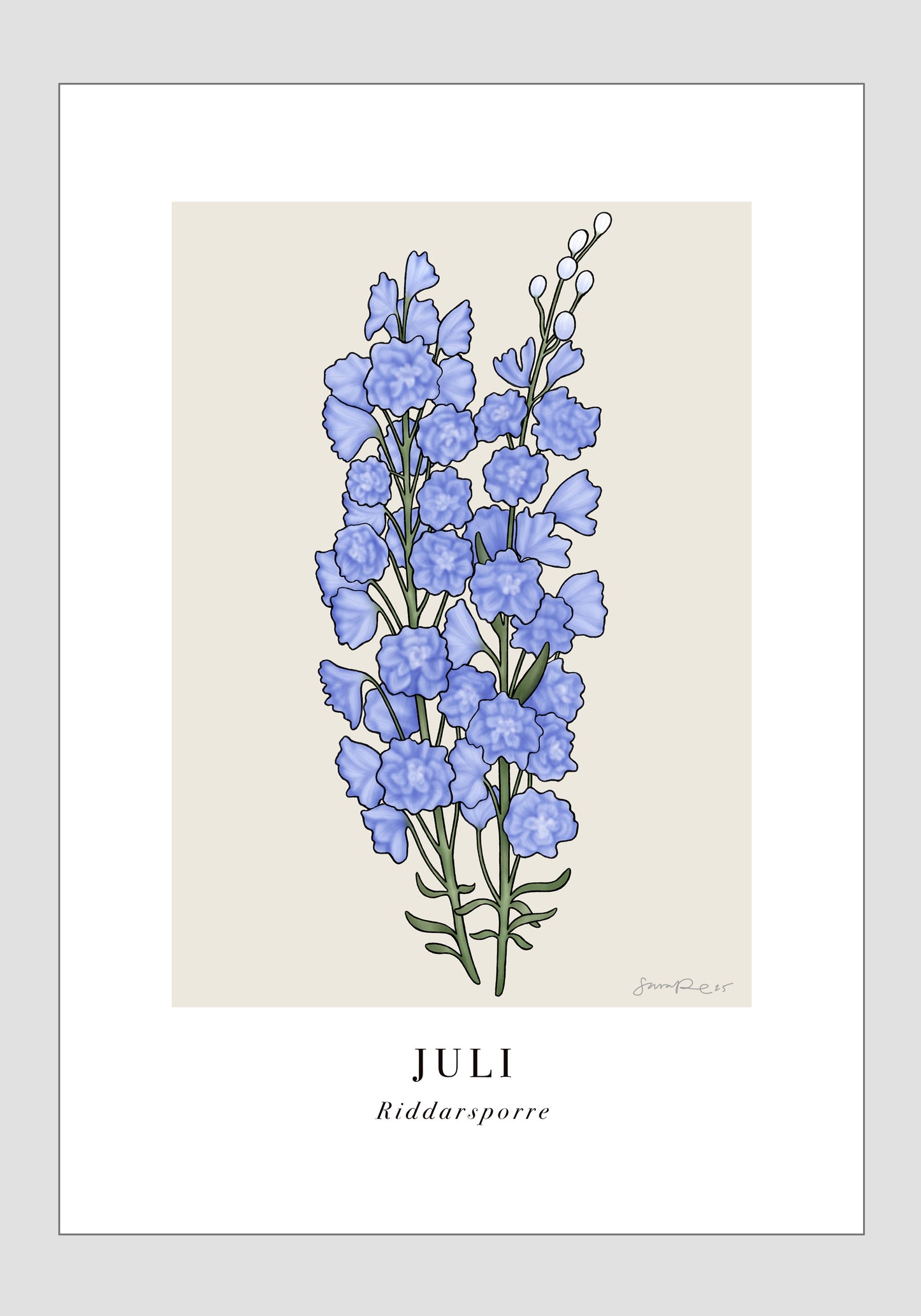 Juli - Riddarsporre, 21x30