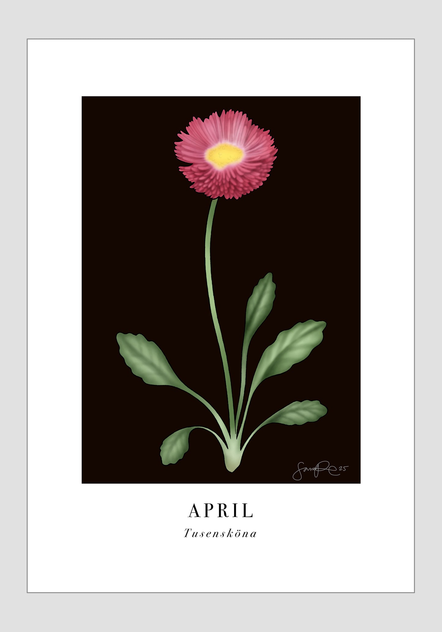 April - Tusensköna, 30x40