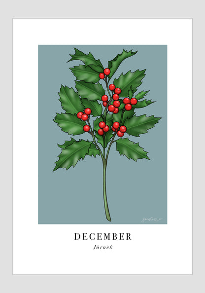 December - Järnek, 21x30