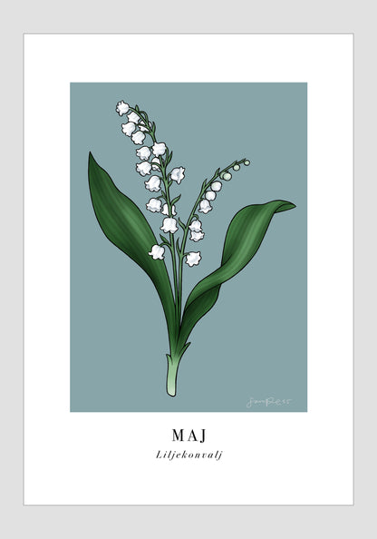 Maj - Liljekonvalj, 21x30