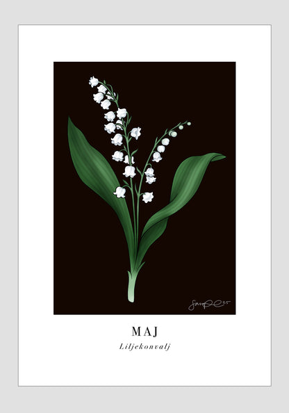 Maj - Liljekonvalj, 21x30