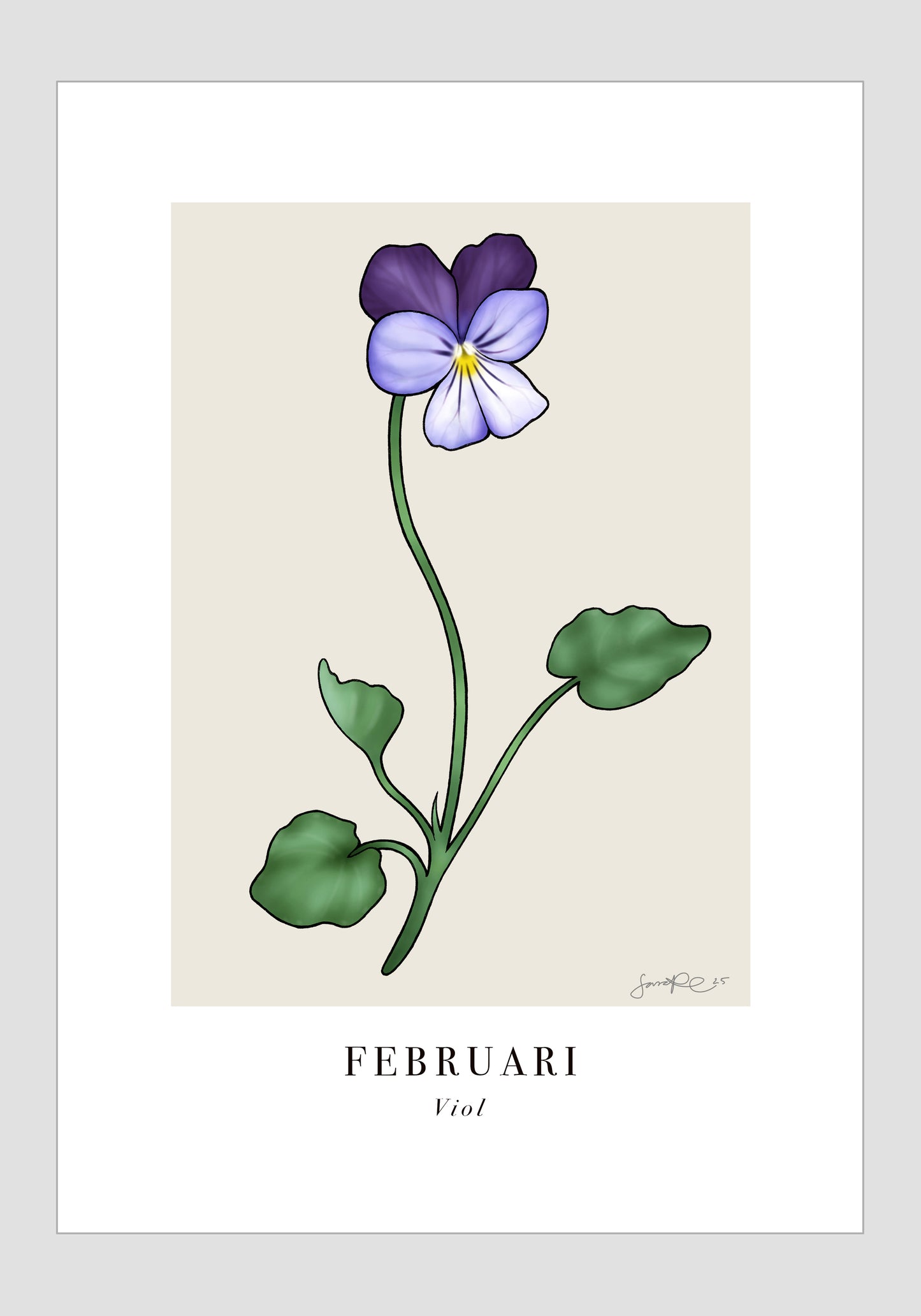 Februari - Viol, 21x30