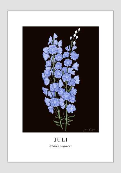 Juli - Riddarsporre, 21x30