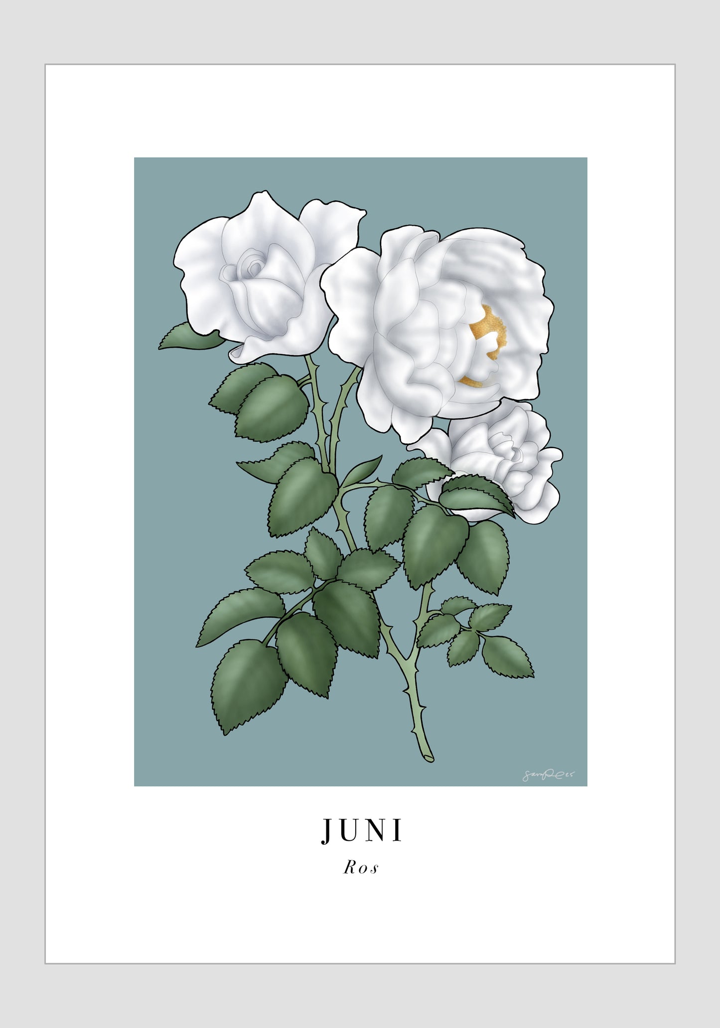 Juni - Ros, 21x30