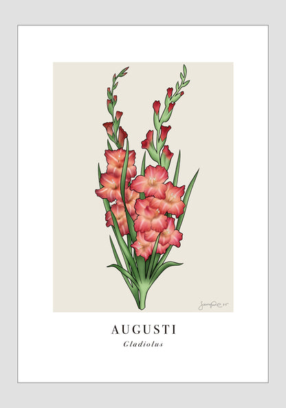 Augusti - Gladiolus, 21x30