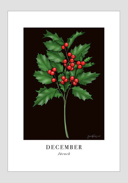 December - Järnek, 21x30