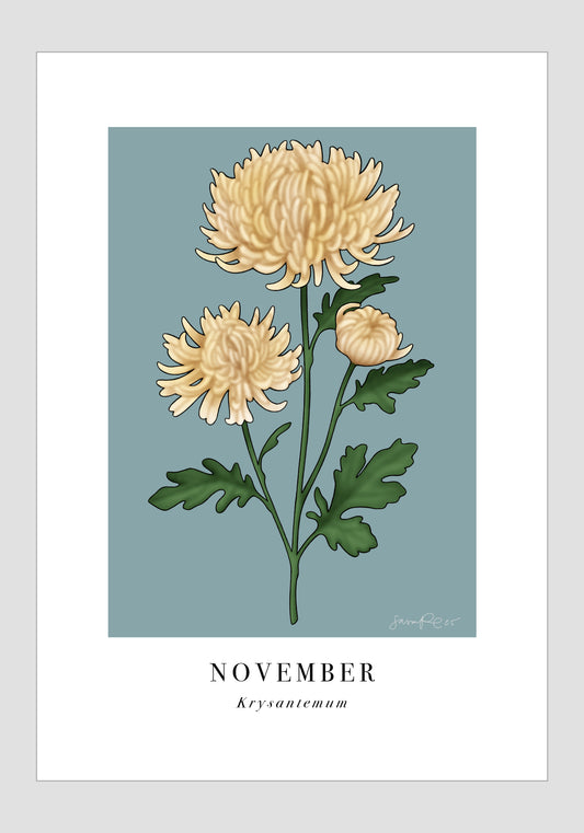November - Krysantemum, 21x30