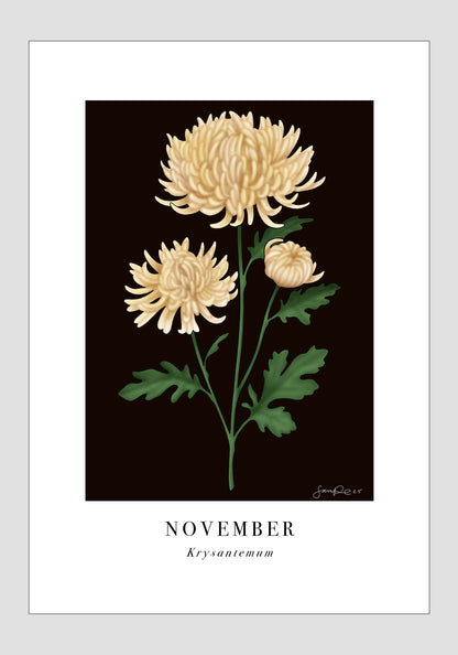 November - Krysantemum, 21x30