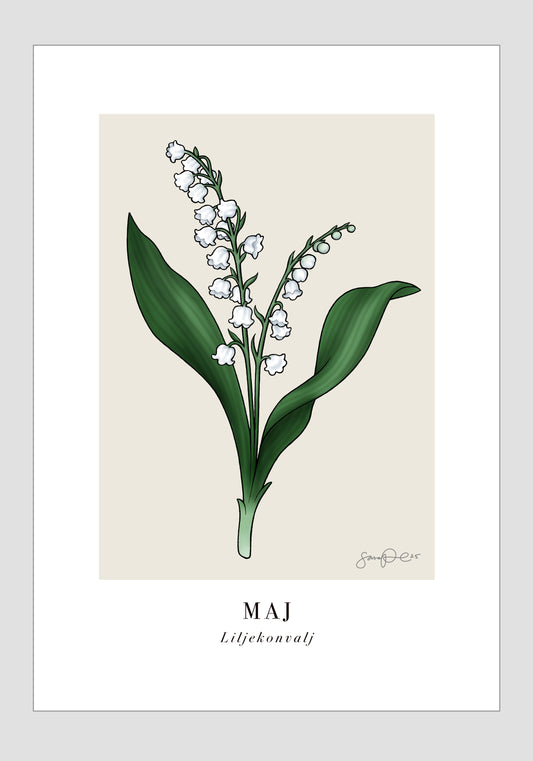 Maj - Liljekonvalj, 21x30