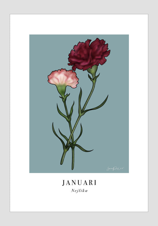 Januari - Nejlika, 21x30