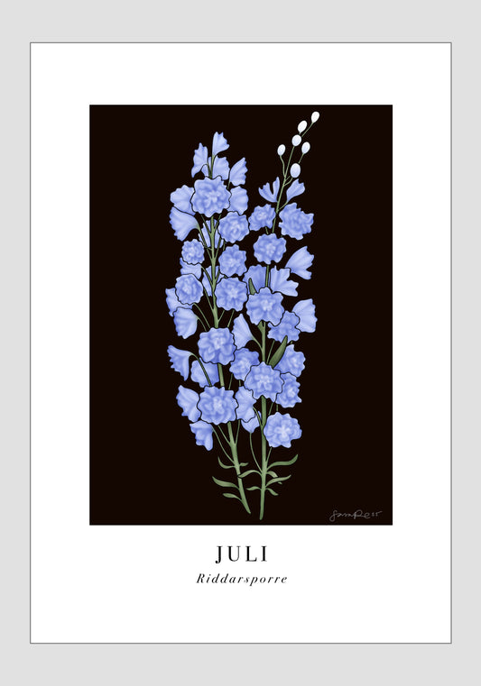 Juli - Riddarsporre, 30x40