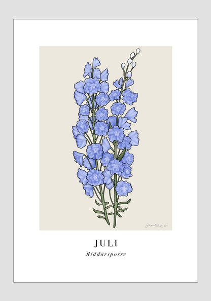 Juli - Riddarsporre, 21x30