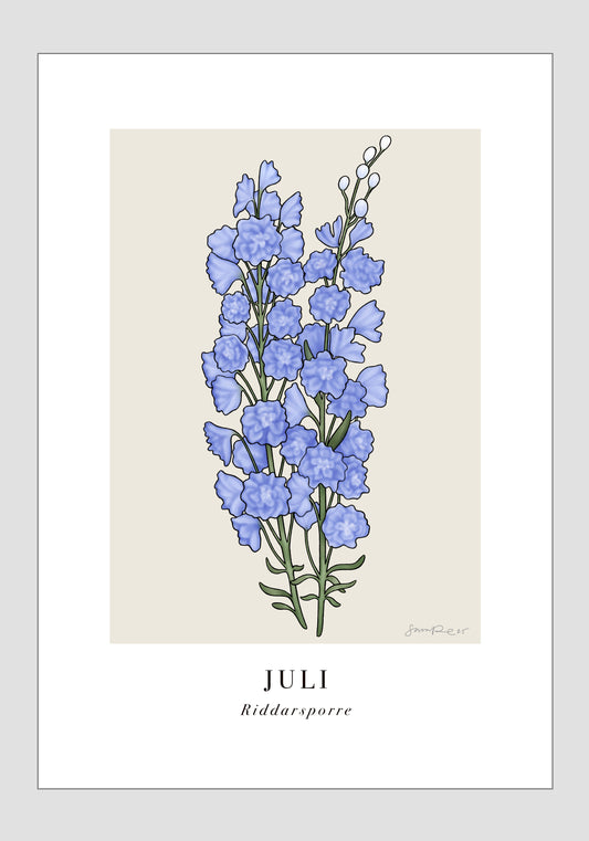Juli - Riddarsporre, 21x30