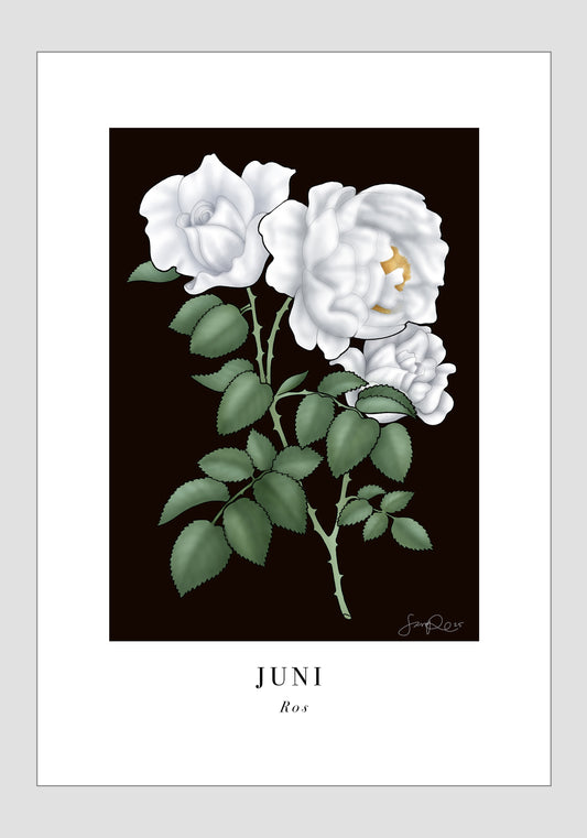 Juni - Ros, 30x40